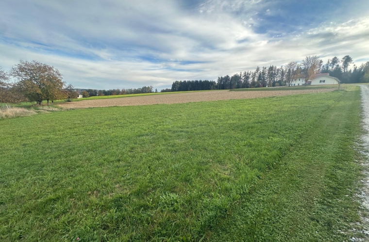 5e11adae-575b-4b08-9fbf-127e0e9584bc