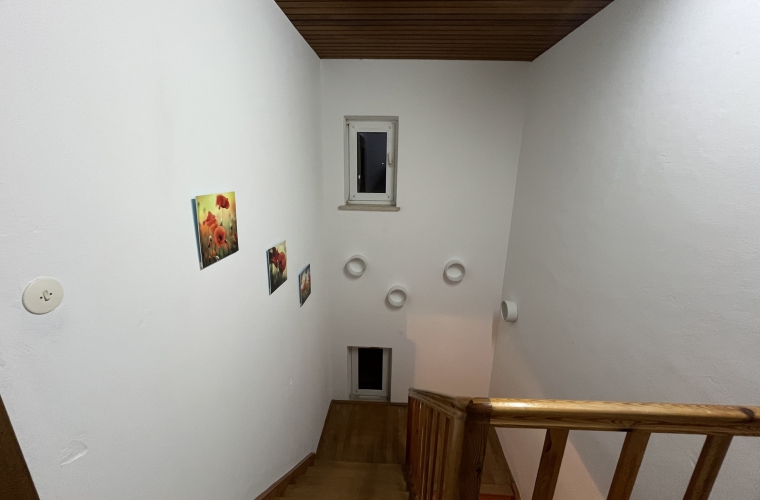 Foto 20.01.25, 19 53 36